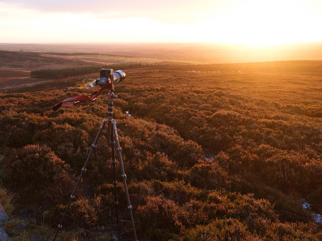 A camera sits on a tripod, pointing at a sunrise in the distance, with camera strap blowing sideways in the wind