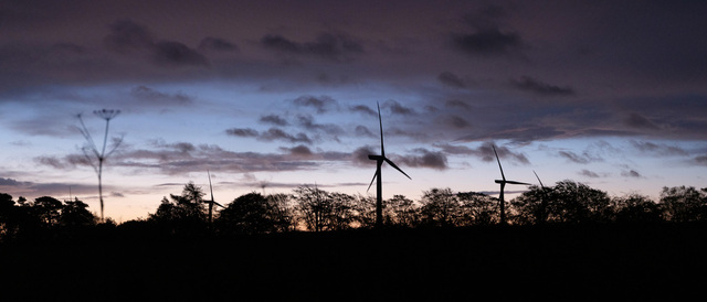 Wind turbines and trees silhouetted against the pre-dawn glow. In the foreground, an out-of-focus flower also stands in silhouette echoing the turbines